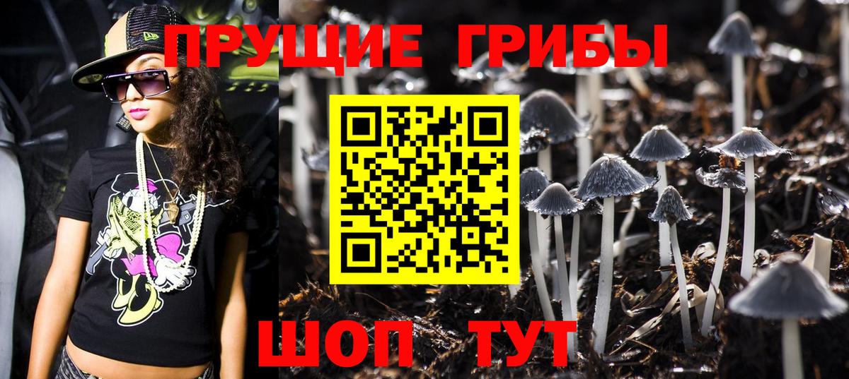 Псилоцибиновые грибы GOLDEN TEACHER Малгобек